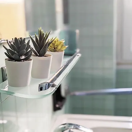 Holidays Doc * Verona